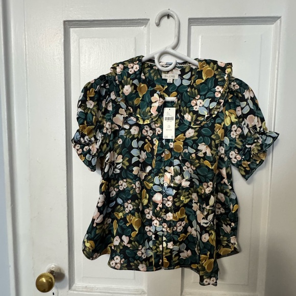 Keira Silky Blouse by Pilcro (Anthropologie) - NWT - Picture 1 of 7